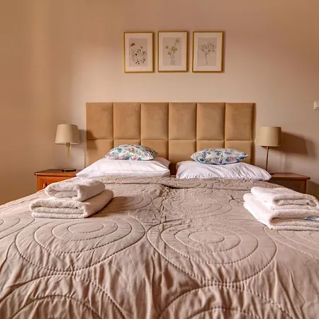 Centrum Deptak 45 Daire Krynica Zdroj